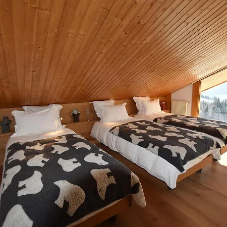 Spacieux, Skis Aux Pieds Avec Sauna, Jacuzzi Et Salle De Sport, Proche Centre Et Pistes - Fr-1-467-68 * Le Grand-Bornand
